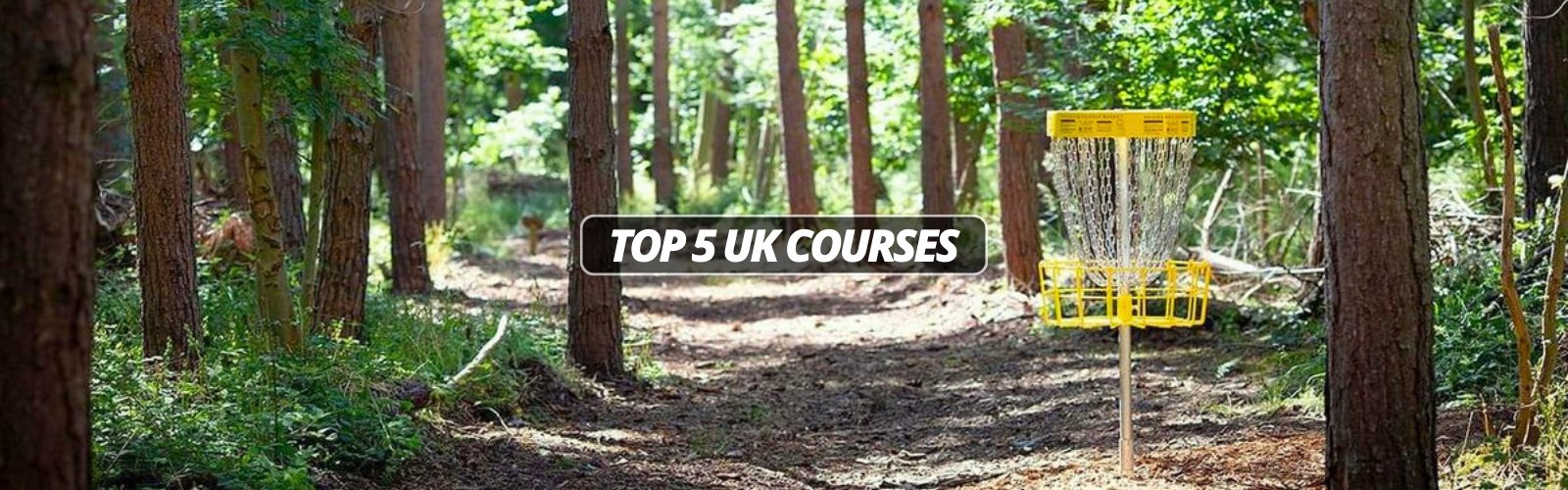 Top 5 Disc Golf Courses in the UK | Ace Disc Golf